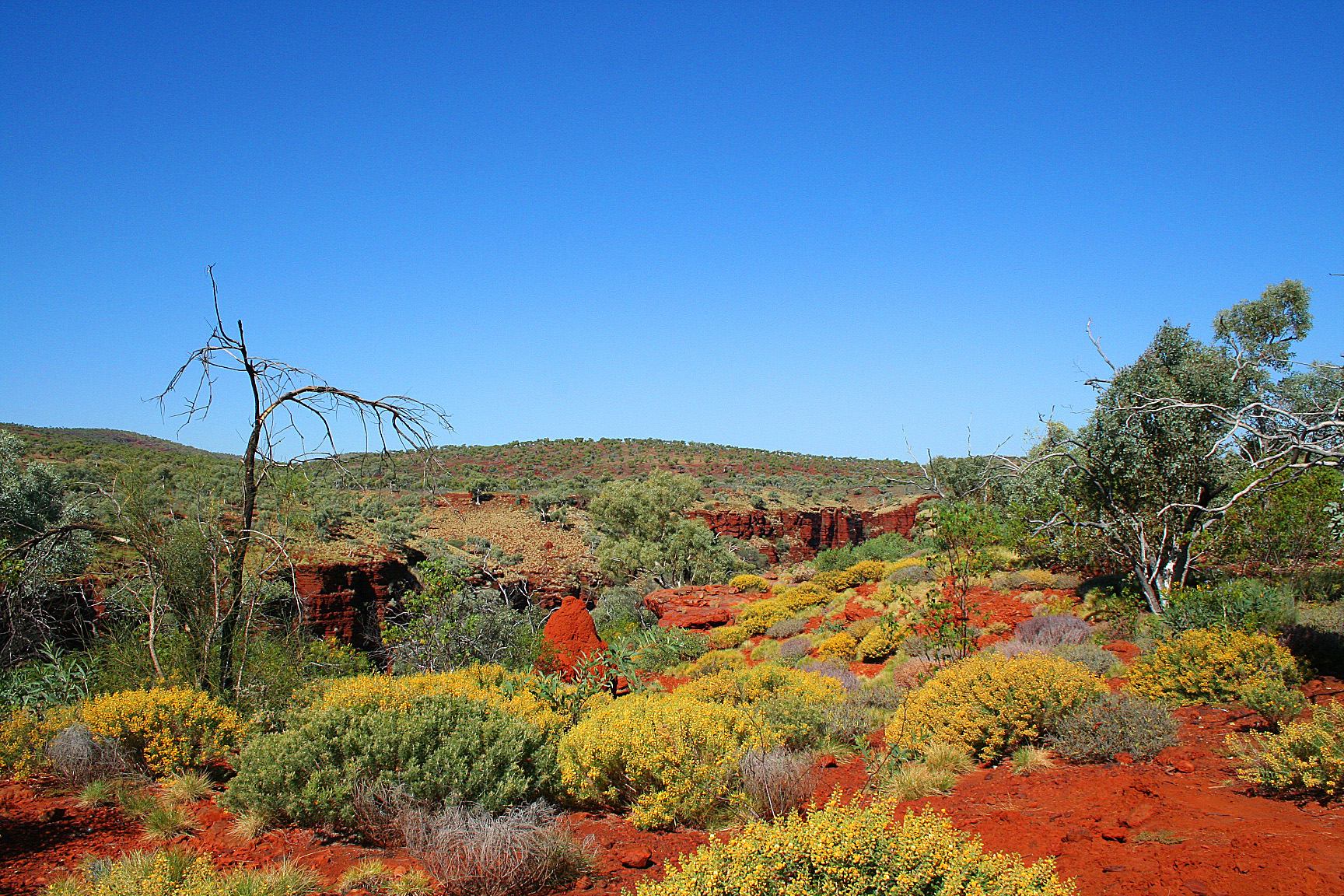 The Pilbara Image 1